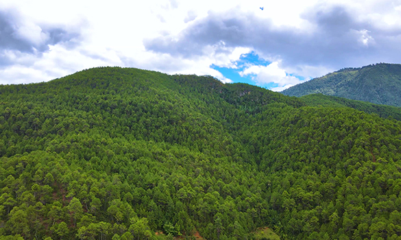 双山相拥 环境宜居